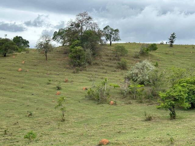 #172 - Área para Venda em Itupeva - SP