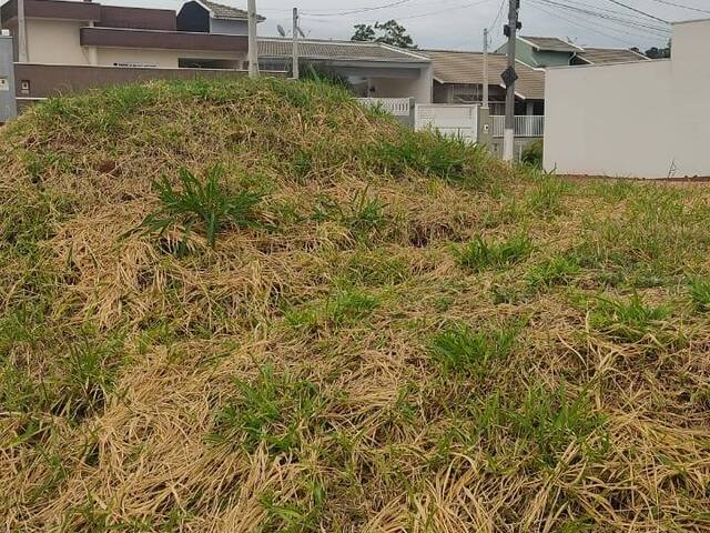Área para Venda em Itupeva - 5