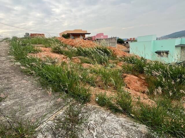 Área para Venda em Itupeva - 5