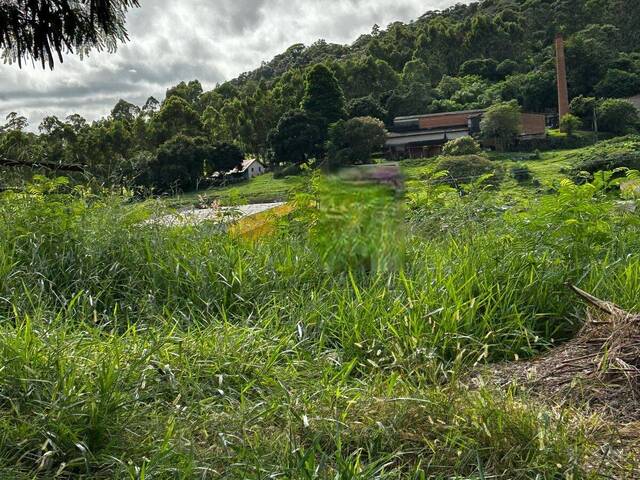 #267 - Área para Venda em Itupeva - SP