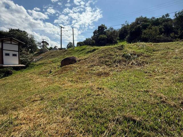 Área para Venda em Itupeva - 5