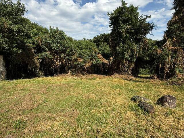 #278 - Área para Venda em Itupeva - SP